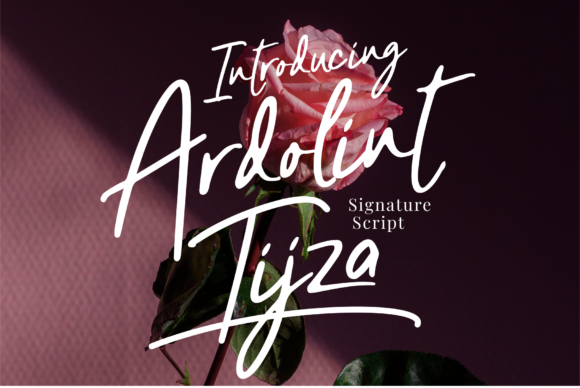 Ardolint Tijza: A Delicate Script Font for Web Design
