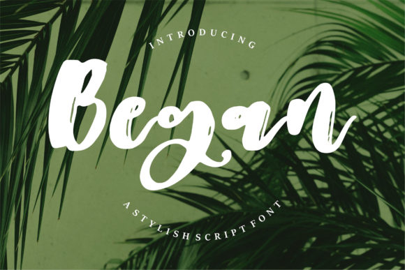 Began: A Delicate Script Font for Elegant Branding