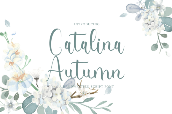 Catalina Autumn Font: A Marketer’s Review