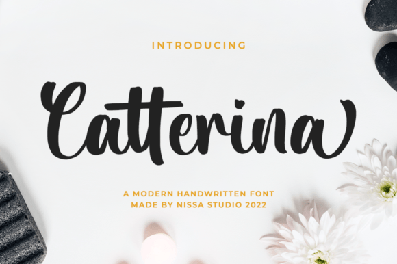 Catterina: The Elegant Script Font for Marketers
