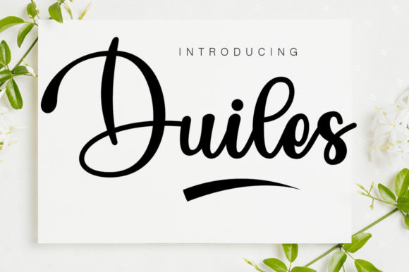 Duiles: A Script Font for Professional Branding