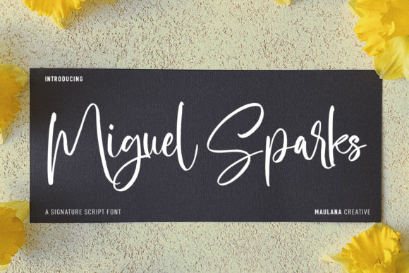 Miguel Sparks: A Dainty Script Font for Elegant Branding