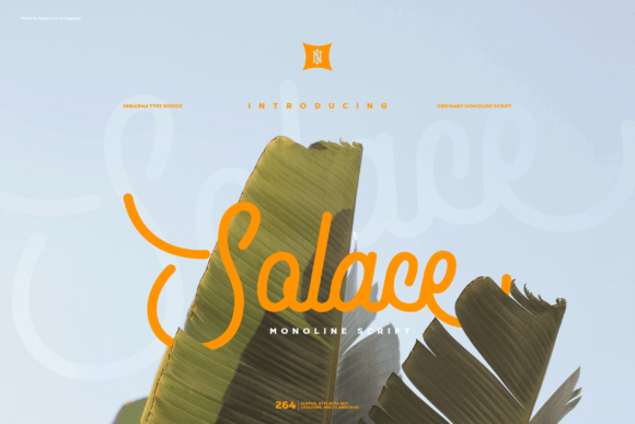 Solace Font: Elevate Your Campaign Headlines