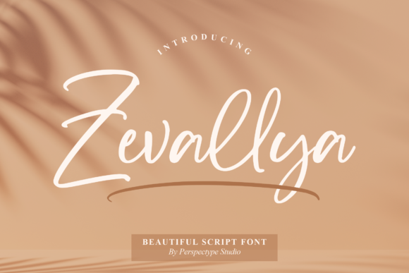 Zevallya: A Script Font for Clear Campaigns